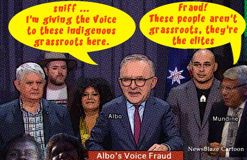 albo the voice fraud. NewsBlaze Cartoon.